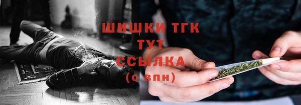 скорость Ладушкин