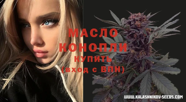скорость Ладушкин