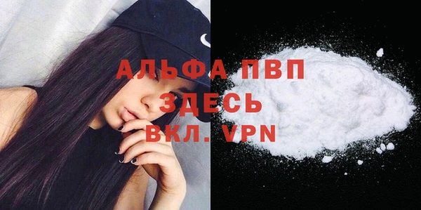скорость Ладушкин