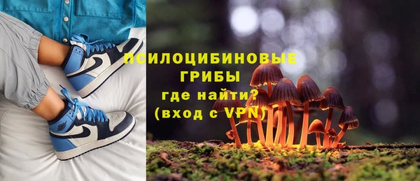 скорость Ладушкин