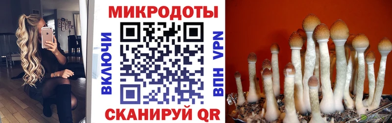 Галлюциногенные грибы мицелий  где найти наркотики  Фокино 